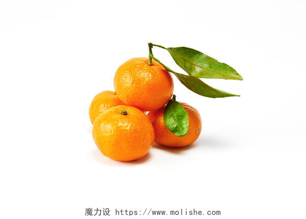 白底新鲜水果绿叶几个小橘子桔子新鲜水果